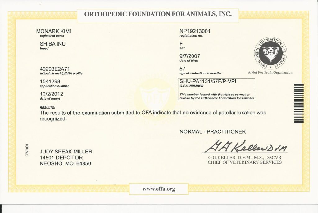 OFA patella