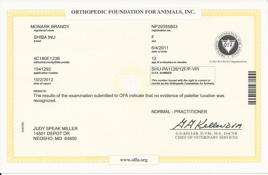 OFA patella