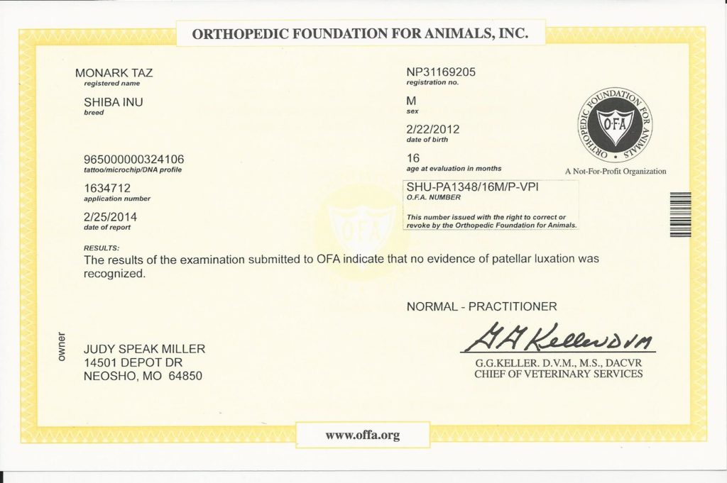 OFA patella