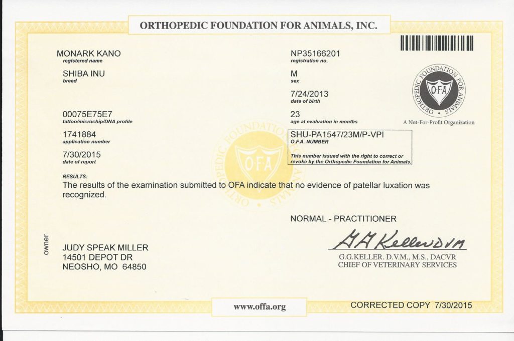 OFA patella