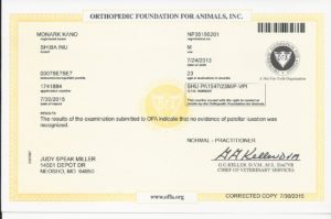 Ofa patella
