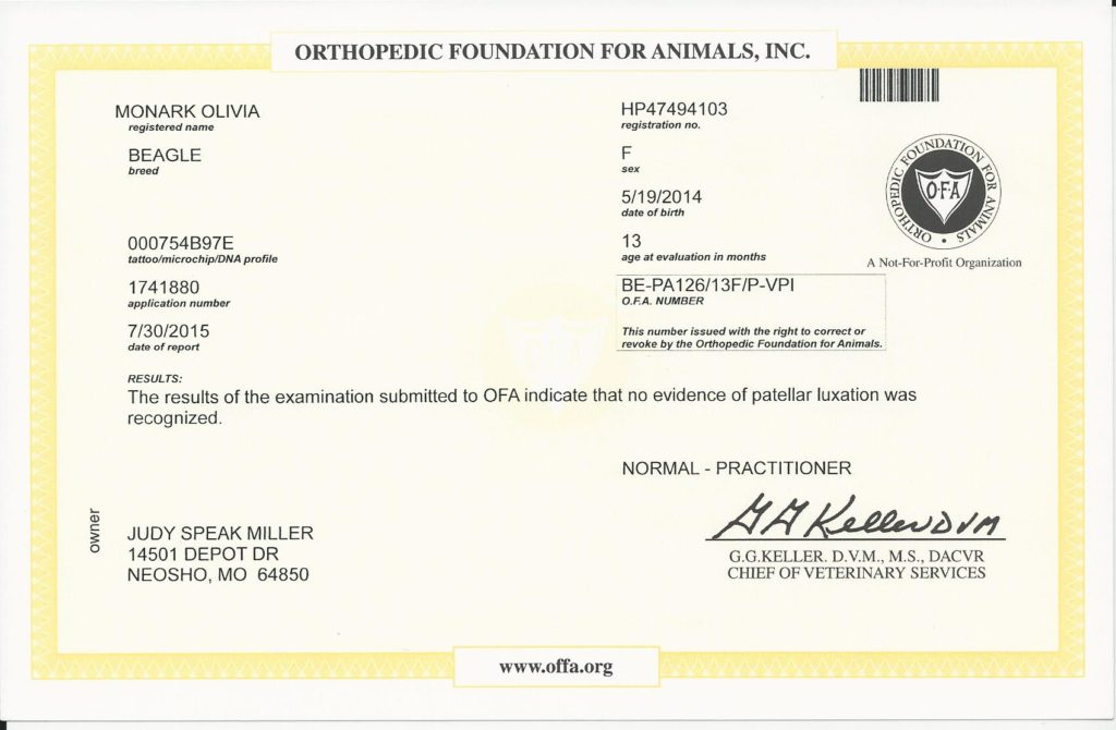 OFA patella