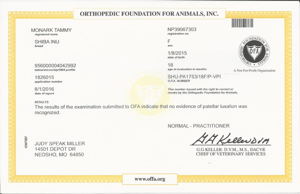 OFA - Patella