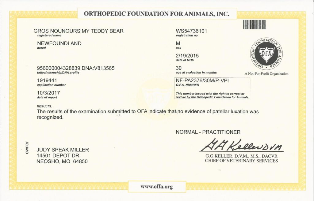 OFA - Patella