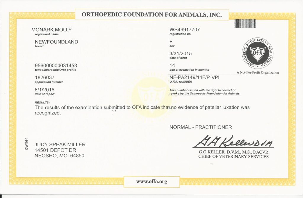 OFA - Patella