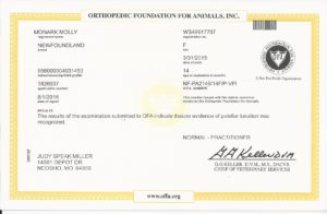 Ofa patella