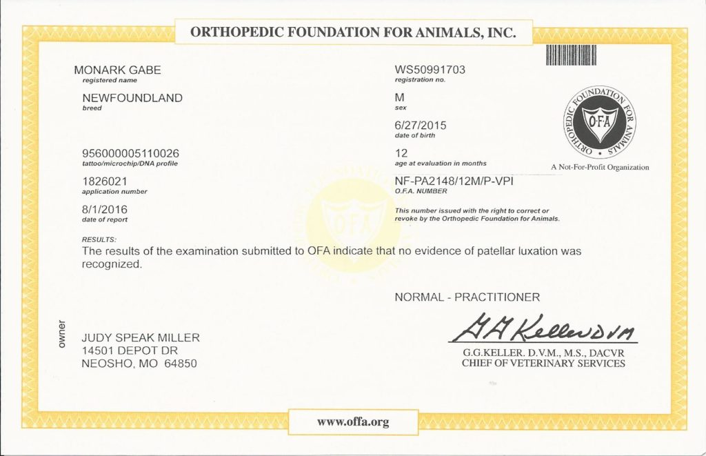 OFA patella
