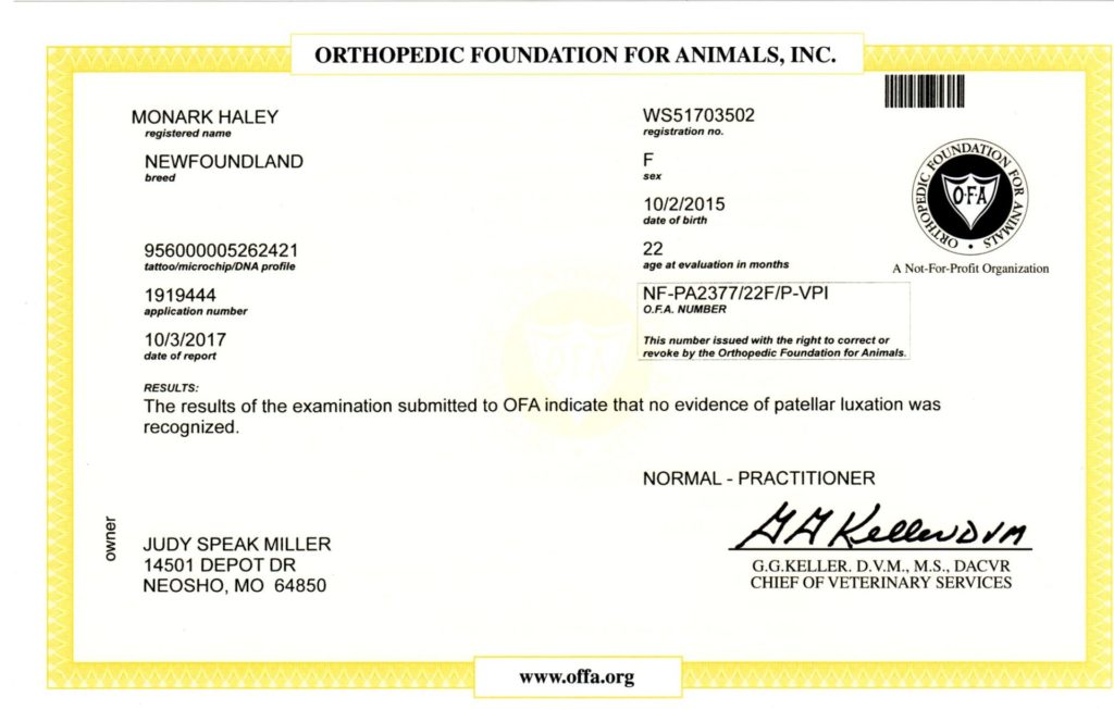 OFA - Patella