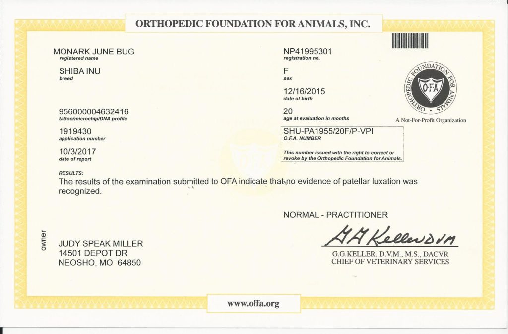 OFA Patella