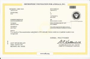 Ofa patella