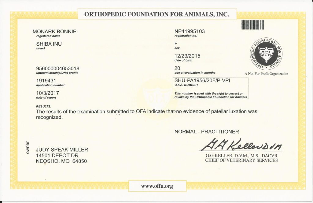 OFA Patella