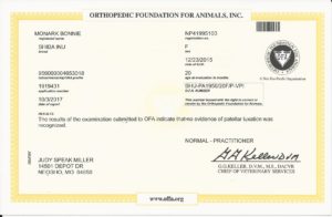 Ofa patella