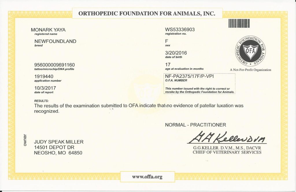 OFA - Patella