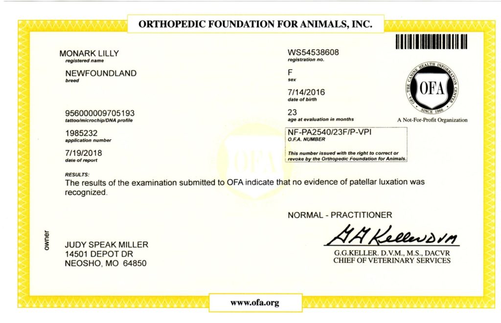 OFA Patella