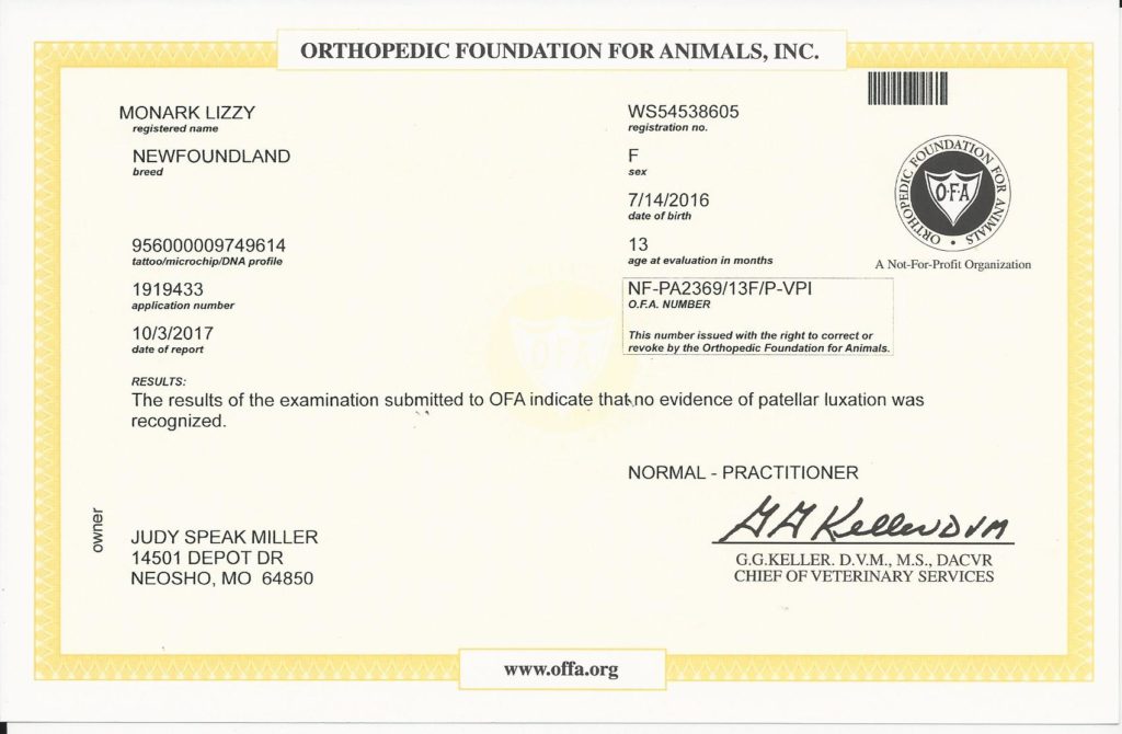 OFA - Patella