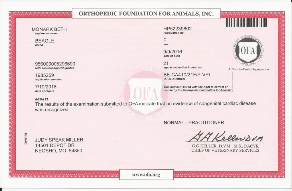 OFA - Heart