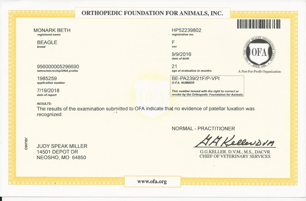 OFA - Patella