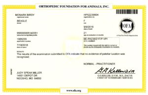 Ofa patella20180919 10350779