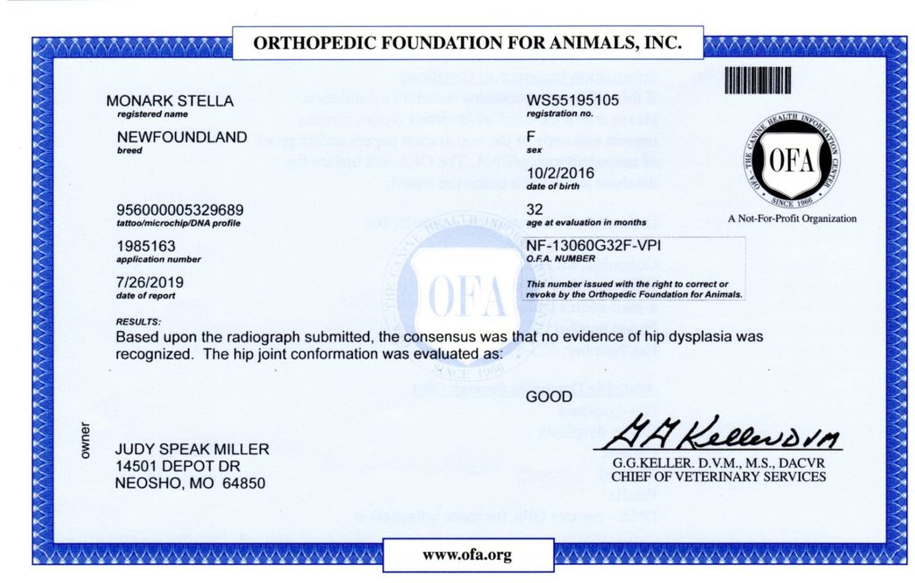 OFA - Hips