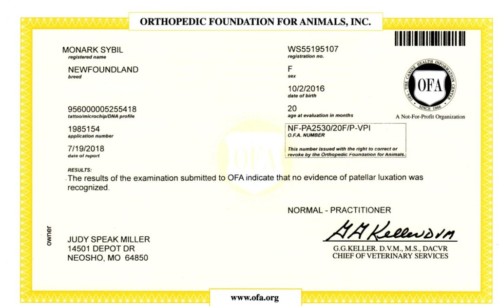 OFA - Patella20180919_09335551