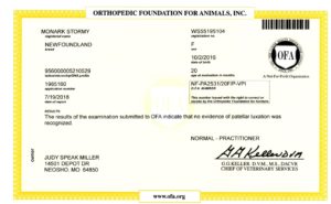 Ofa patella20180919 09431595