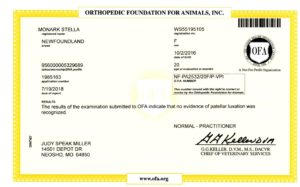 Ofa patella20180919 09532352