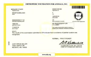 Ofa patella20180919 09581547