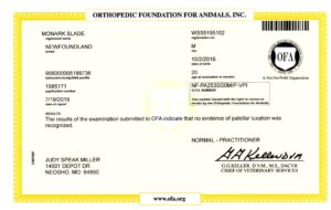 Ofa patella20180919 10001838