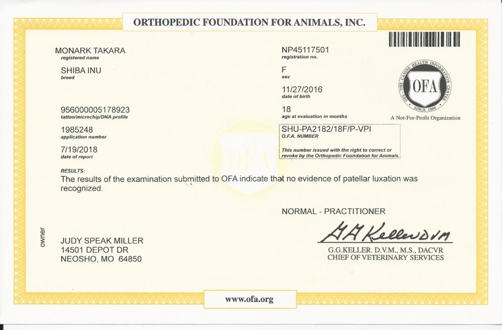 OFA - Patella