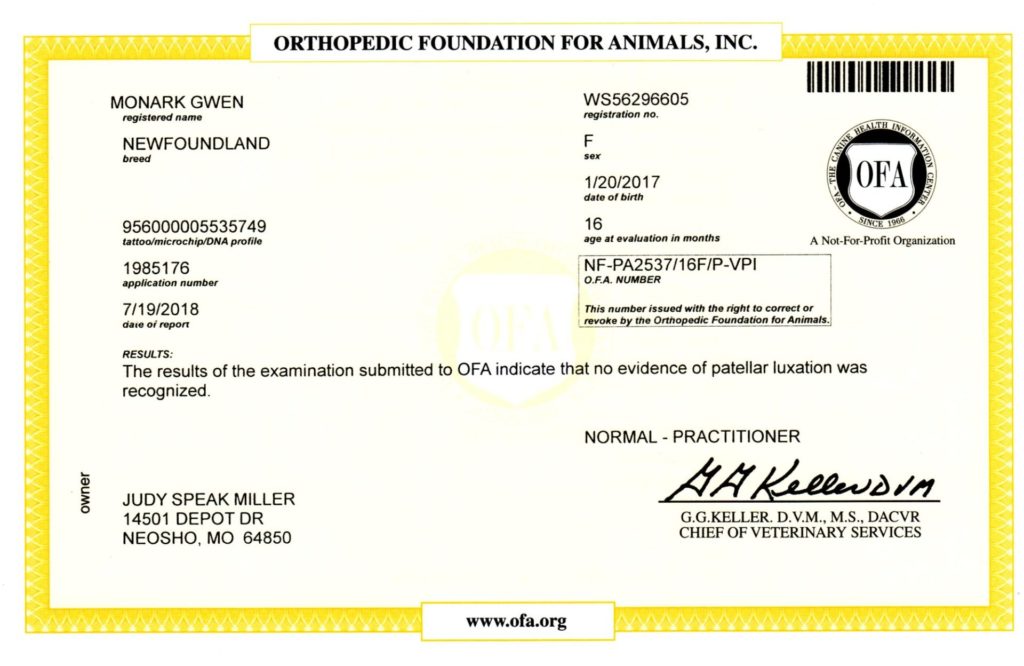 OFA - Patella20180930_18112825