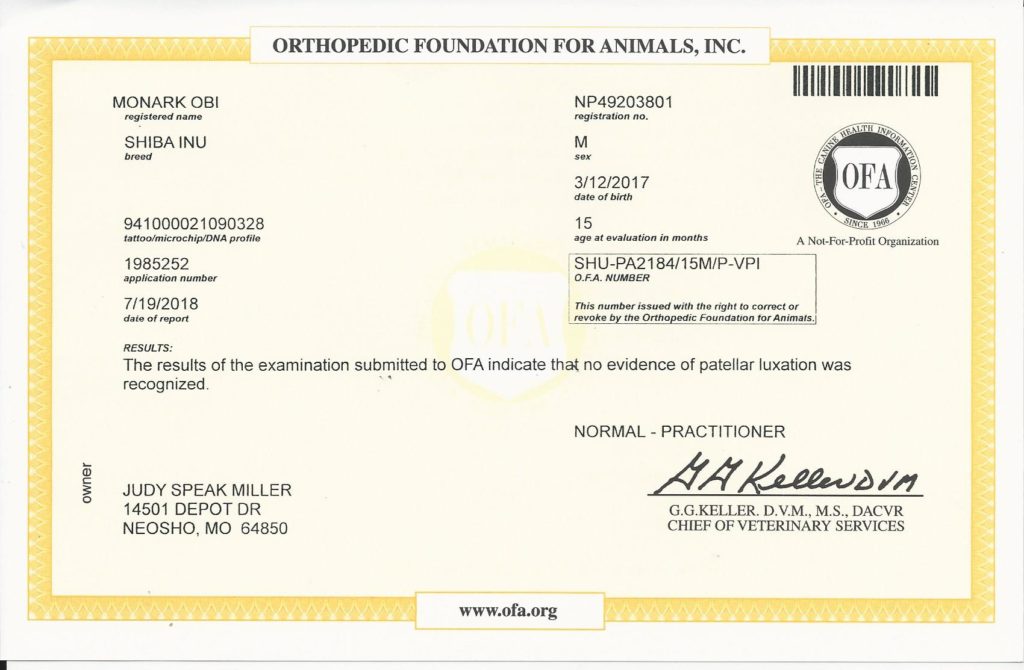 OFA - patella