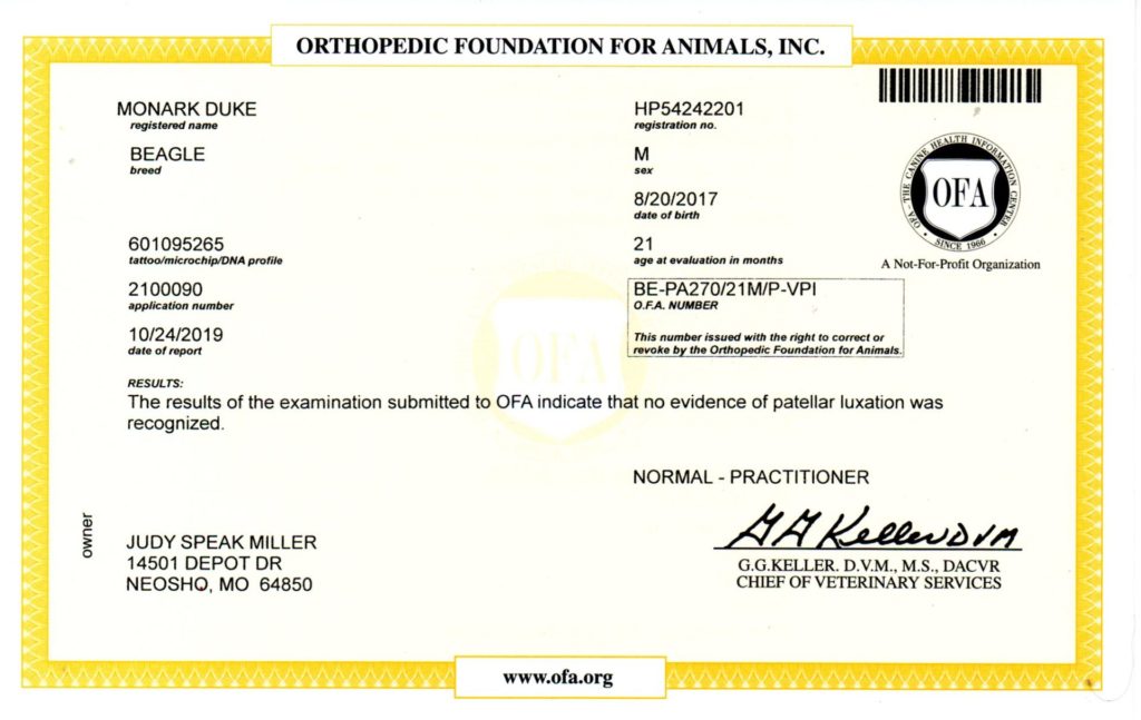 OFA - PATELLA