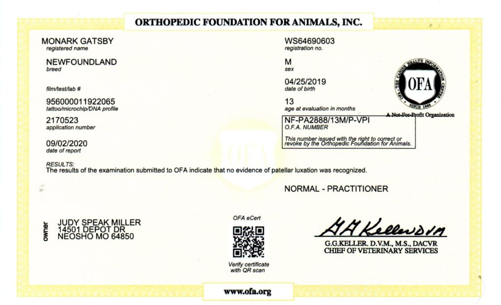 OFA - PATELLAS