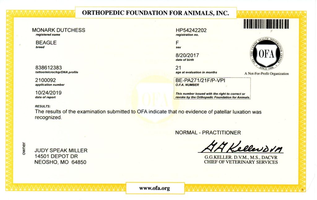 OFA - PATELLA