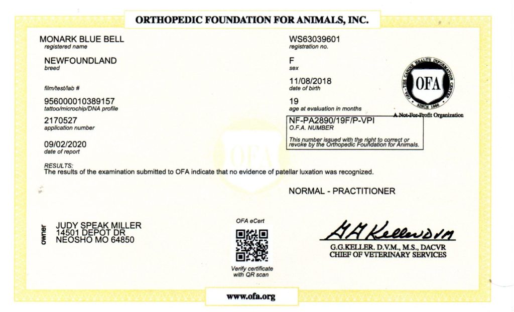 OFA - PATELLAS
