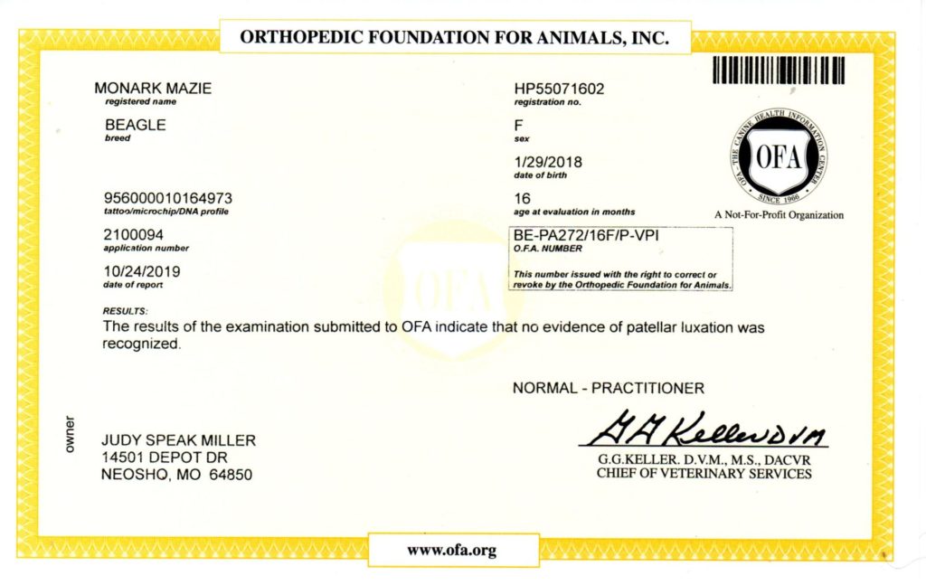 OFA - PATELLA