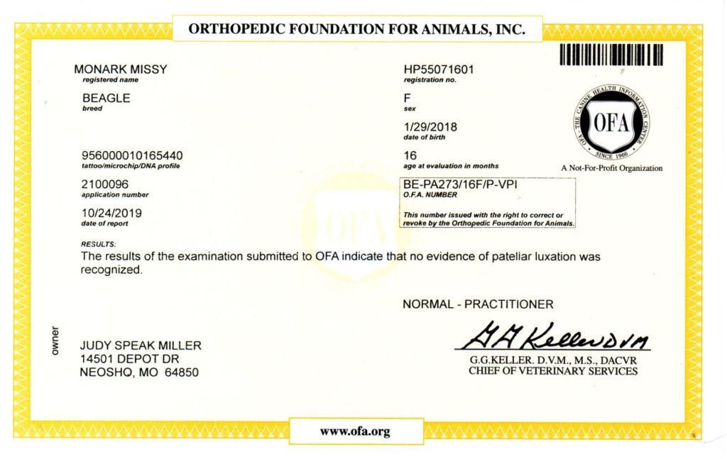 OFA - PATELLA