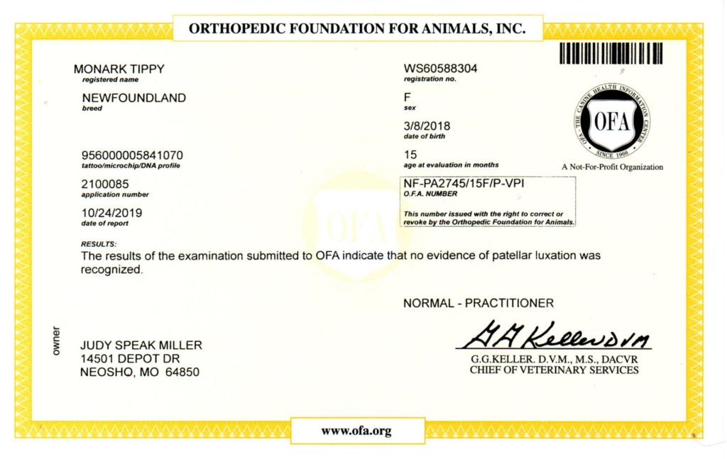 OFA - PATELLA