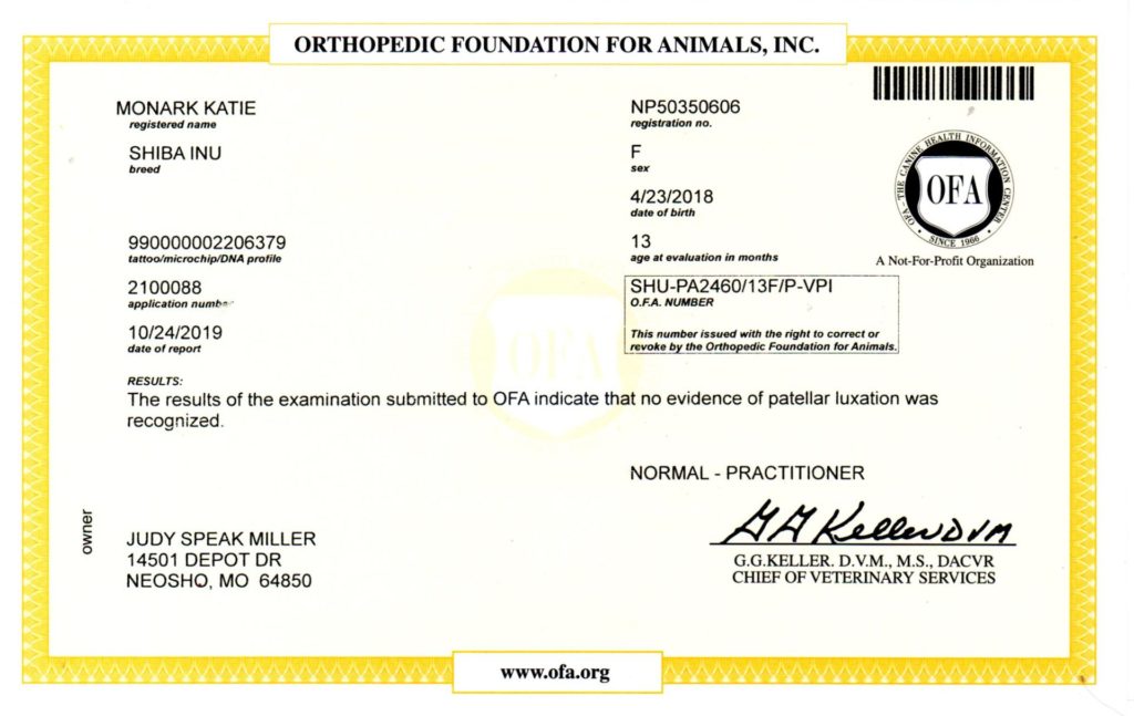 OFA - PATELLA