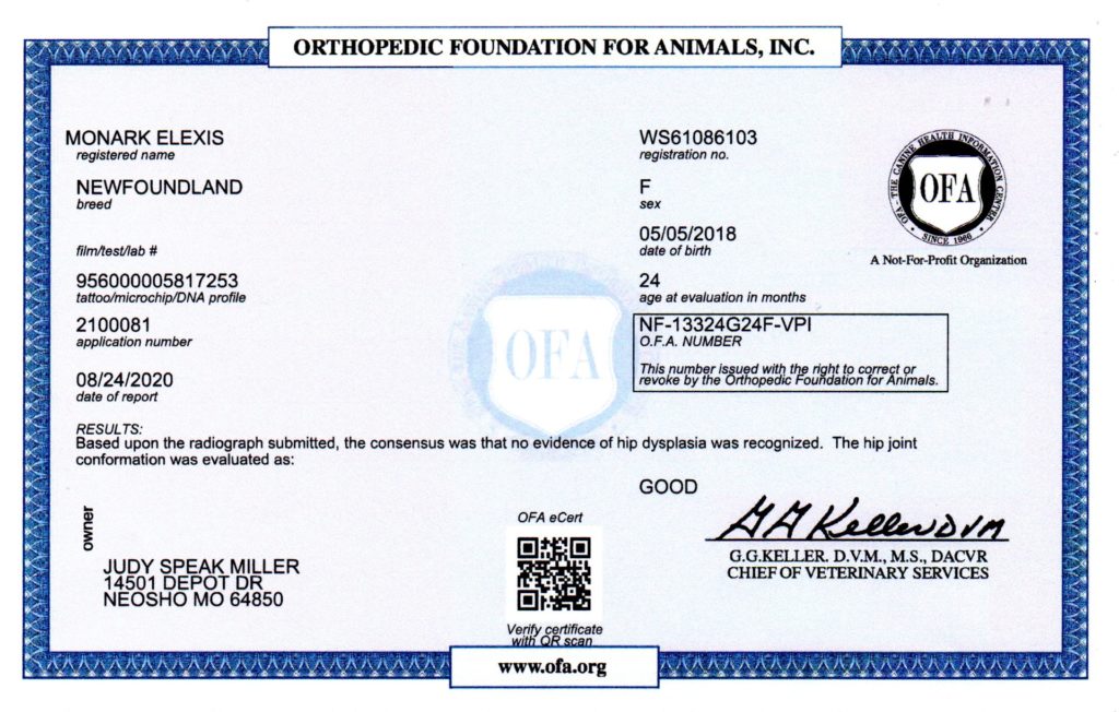 OFA - HIPS
