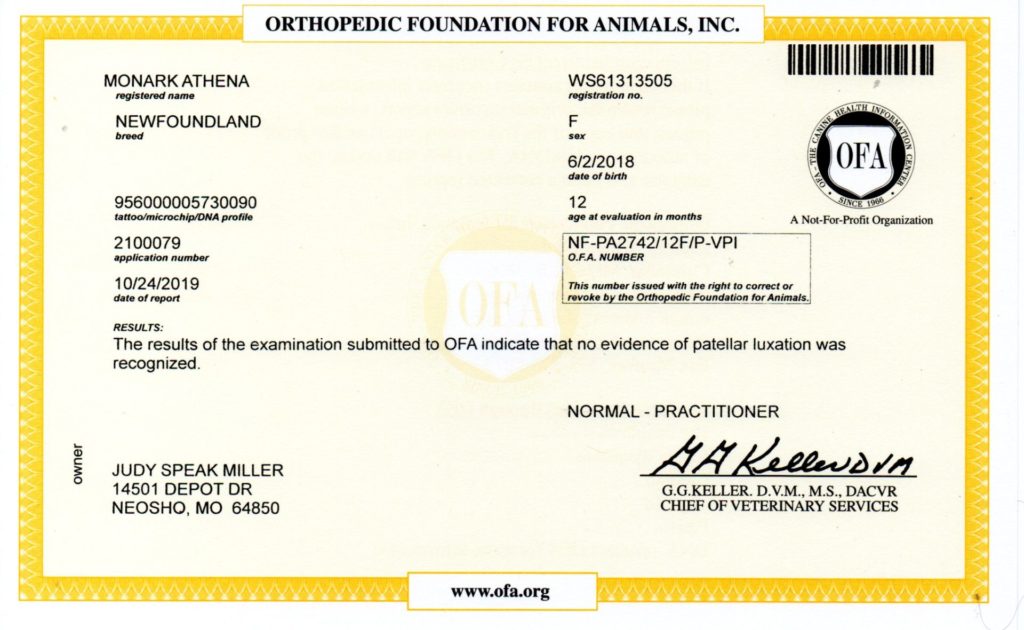 OFA - PATELLA