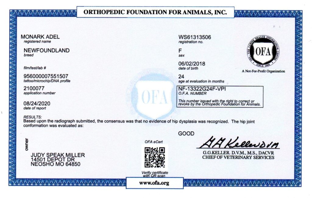 OFA - HIPS