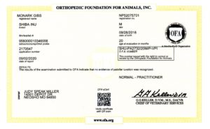 Ofa patella