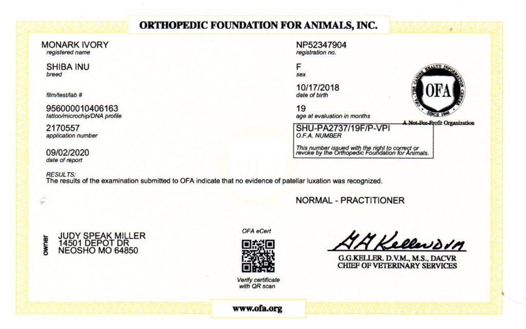 OFA - PATELLA