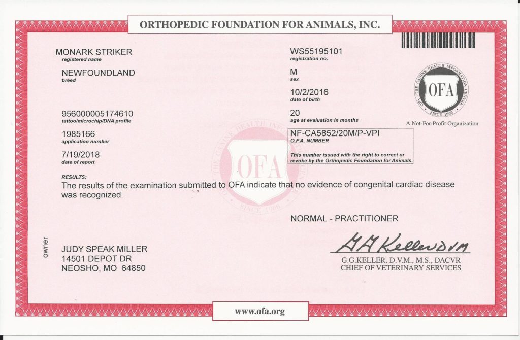 OFA - Heart
