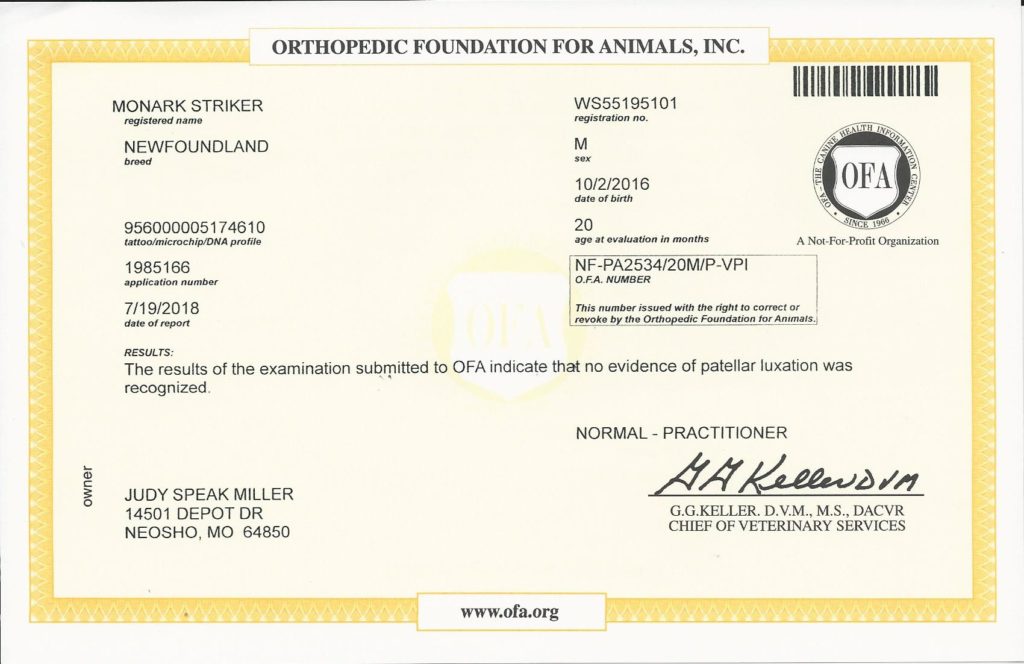 OFA - Patella