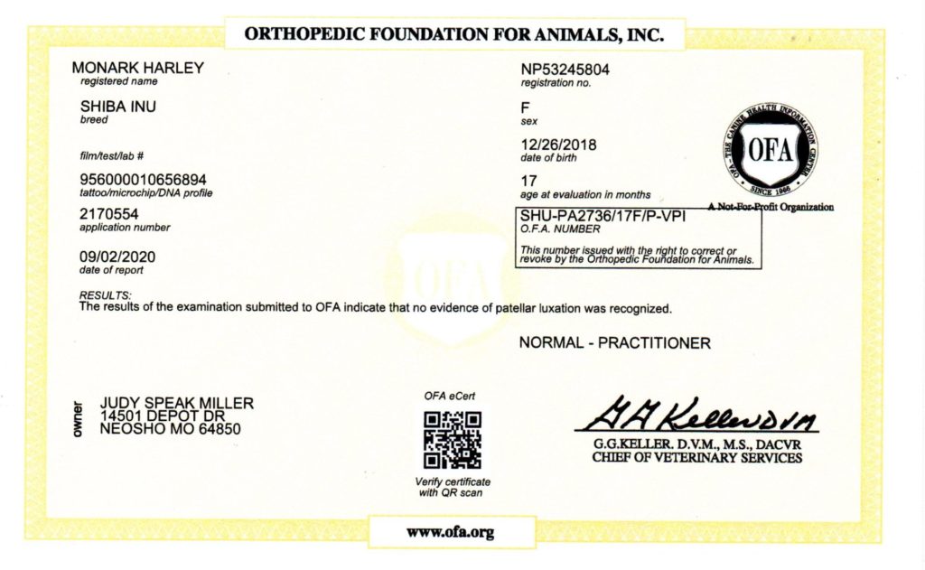 OFA - PATELLA