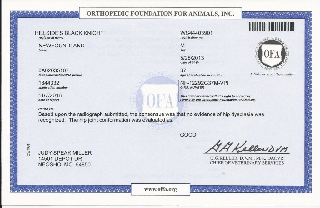 OFA Hips