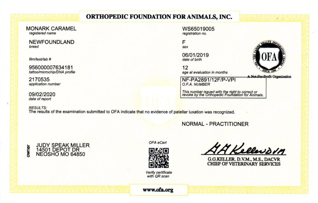 OFA - PATELLA