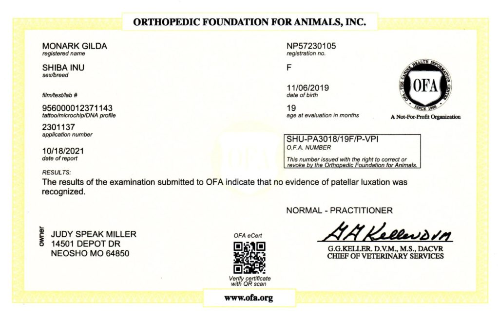 OFA Patella